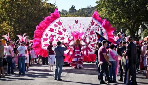 Pink Loerie Mardi Gras And Arts Festival