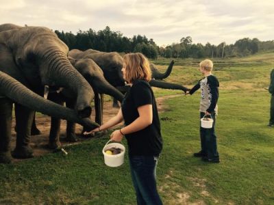 Knysna-elephant-park